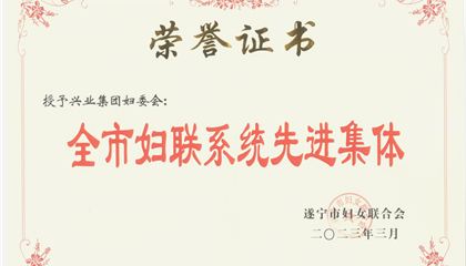 喜報(bào)！興業(yè)集團(tuán)婦委會(huì)榮獲“全市婦聯(lián)系統(tǒng)先進(jìn)集體”榮譽(yù)稱(chēng)號(hào)